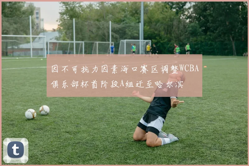 因不可抗力因素海口赛区调整WCBA俱乐部杯首阶段A组迁至哈尔滨