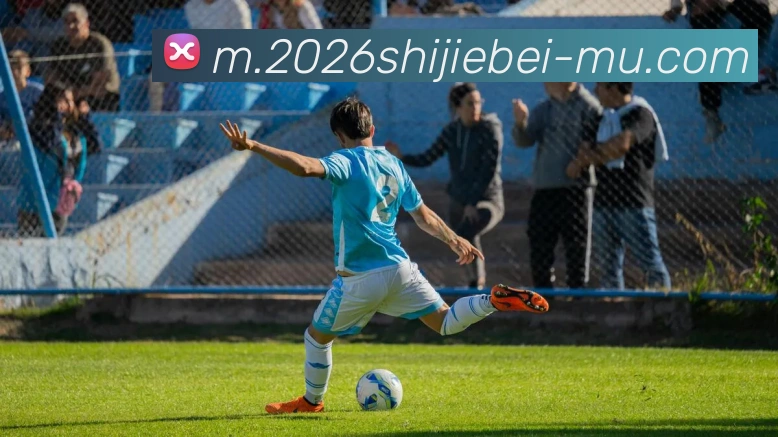 2026世界杯平台生态图