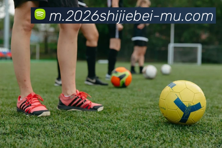 2026世界杯APP 封面图